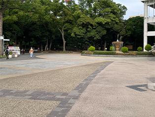 しばらく歩くと噴水が見えてきます。噴水の先の横浜公園の中を通過します。